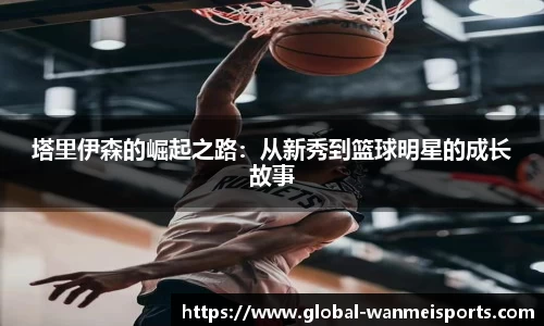 完美体育官网